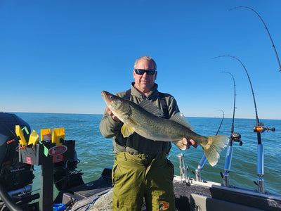 11-14-2023 Lake Erie Walleye Fishing Report