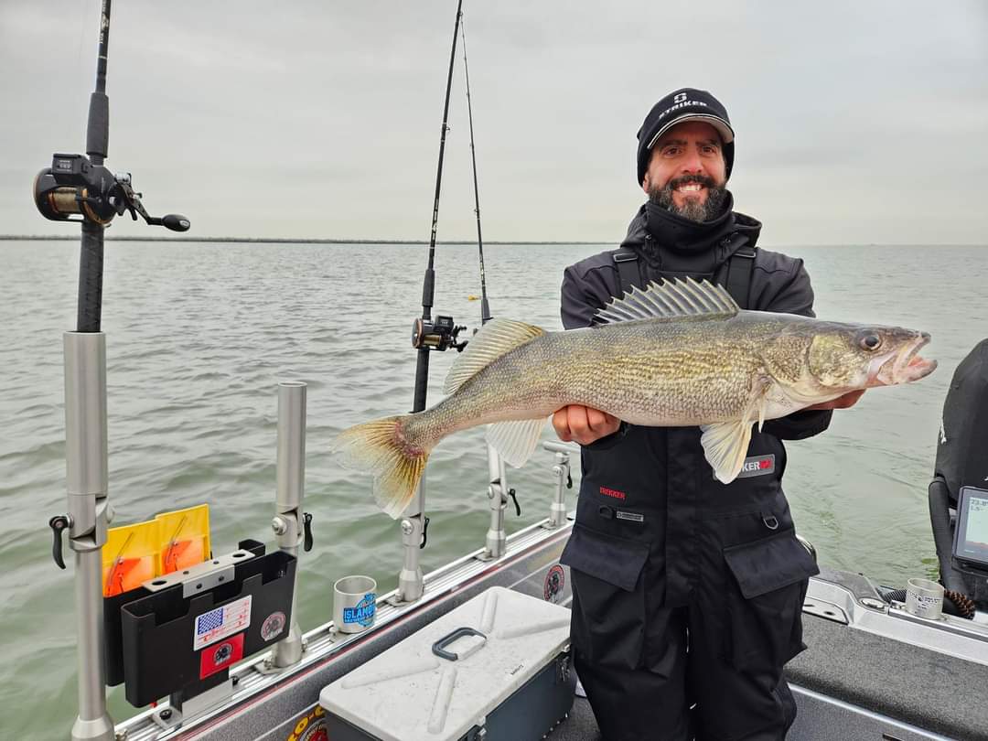 Walleye plentiful for Ohio fishers angling in Lake Erie