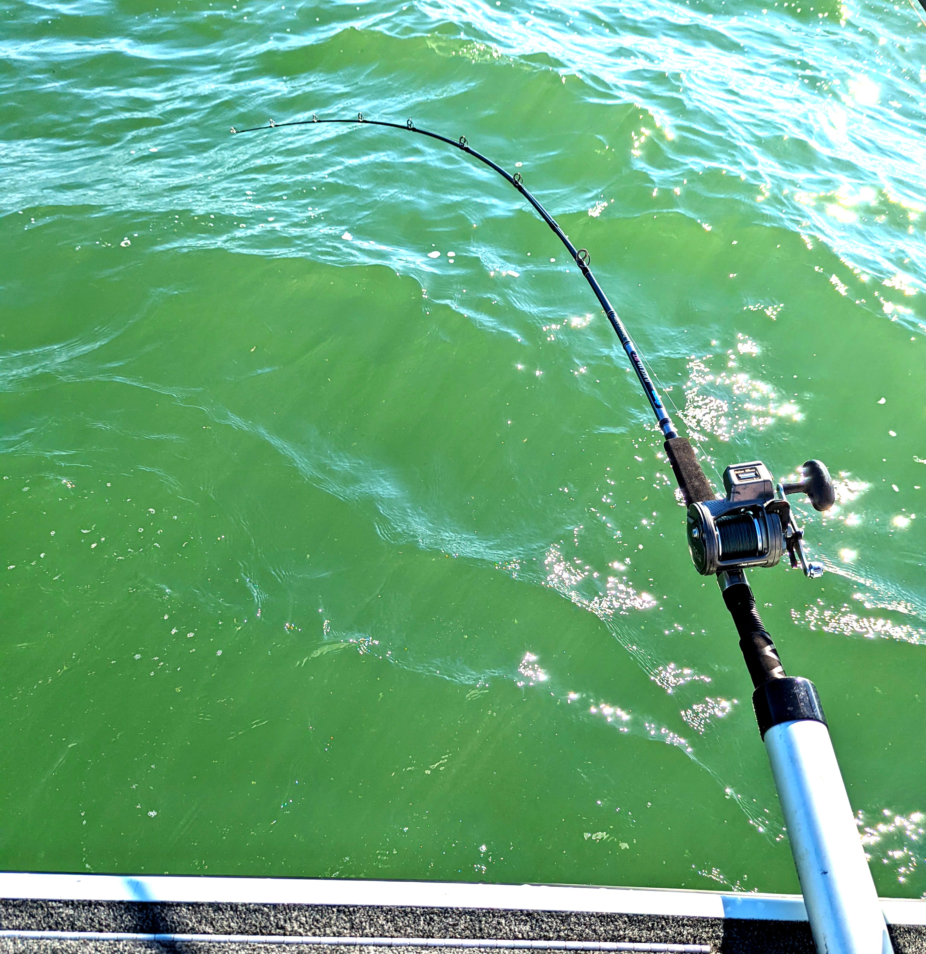 Okuma CP GLT Downrigger Rod Okuma CP GLT Downrigger Rod