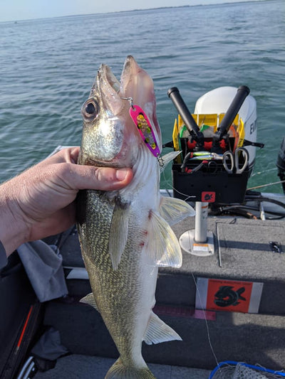 Dipsy Diver Rigging for Lake Erie Walleye