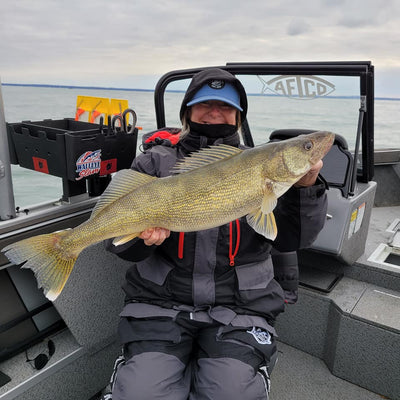 11-14-22 Lake Erie Walleye Fishing Report