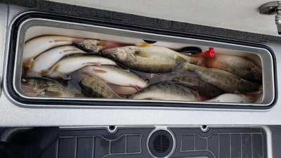 1-8-23 Lake Erie Walleye Fishing Report