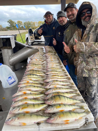 10-16-23 Lake Erie Perch Fishing Report