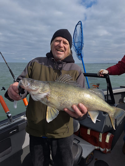 11-7-2023 Lake Erie Walleye Fishing Report