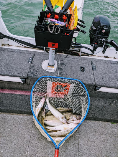 8-13-21 Lake Erie Fishing Report