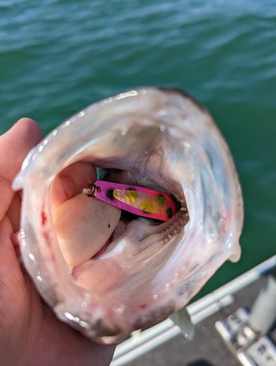 6-3-22 Lake Erie Walleye Fishing Report