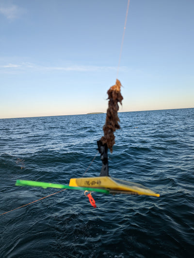 Walleye Trolling & Floating Debris