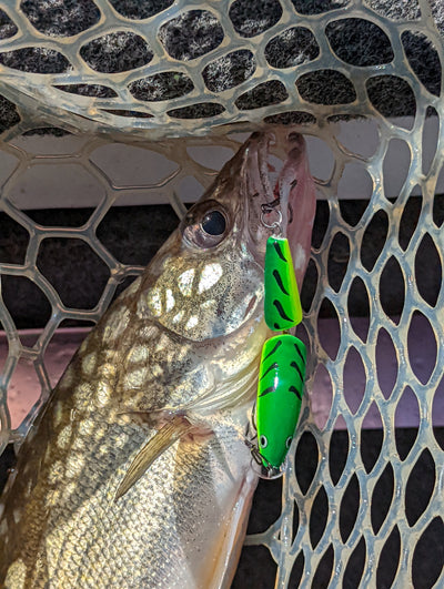 7-15-22 Lake Erie Walleye Fishing Report