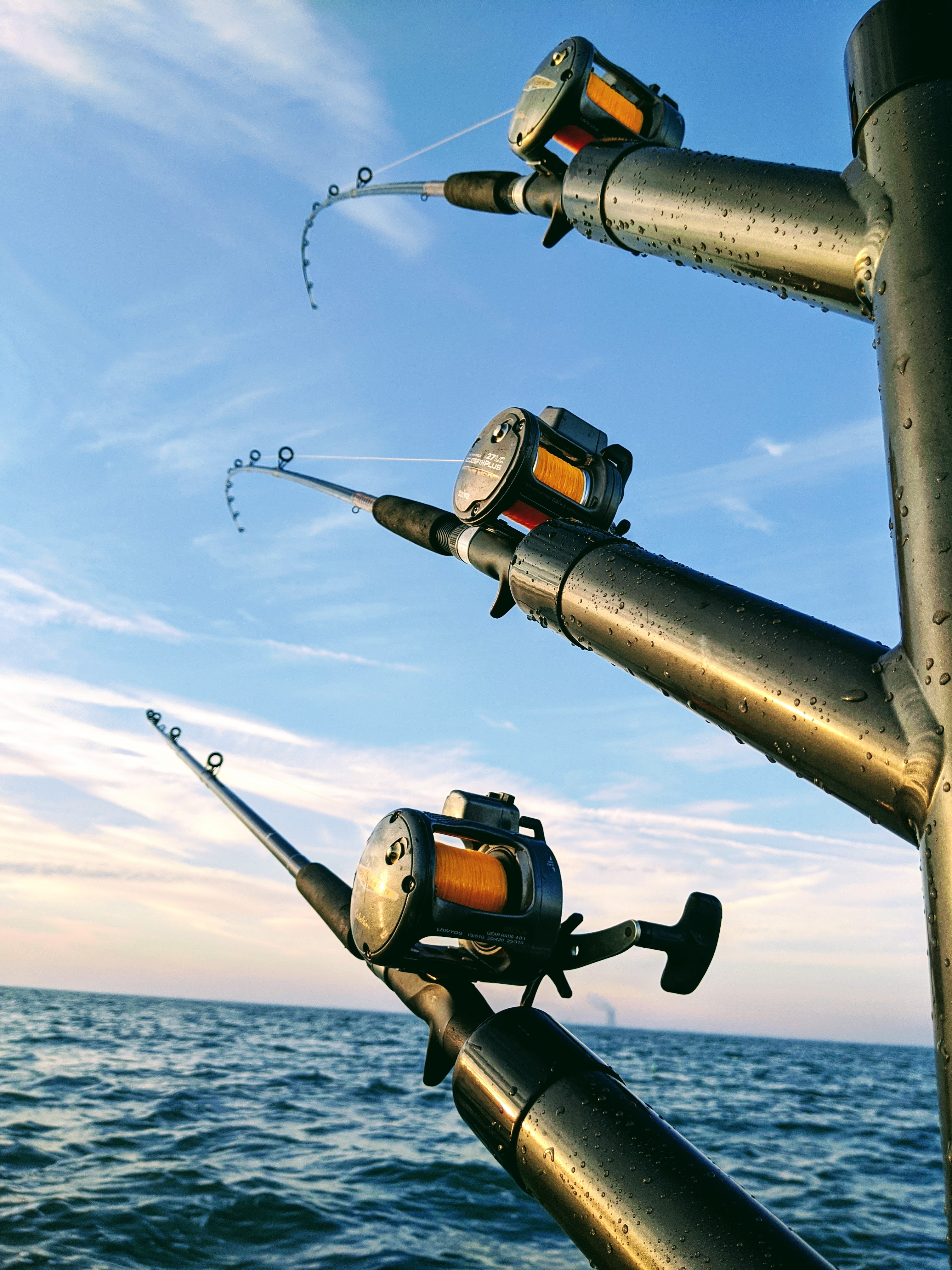 Rod Trees – Fishing Addiction Gear