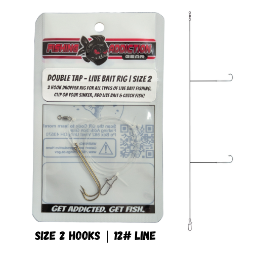 double hook set up fishing Double Tap Live Bait Rig – Fishing Addiction Gear
