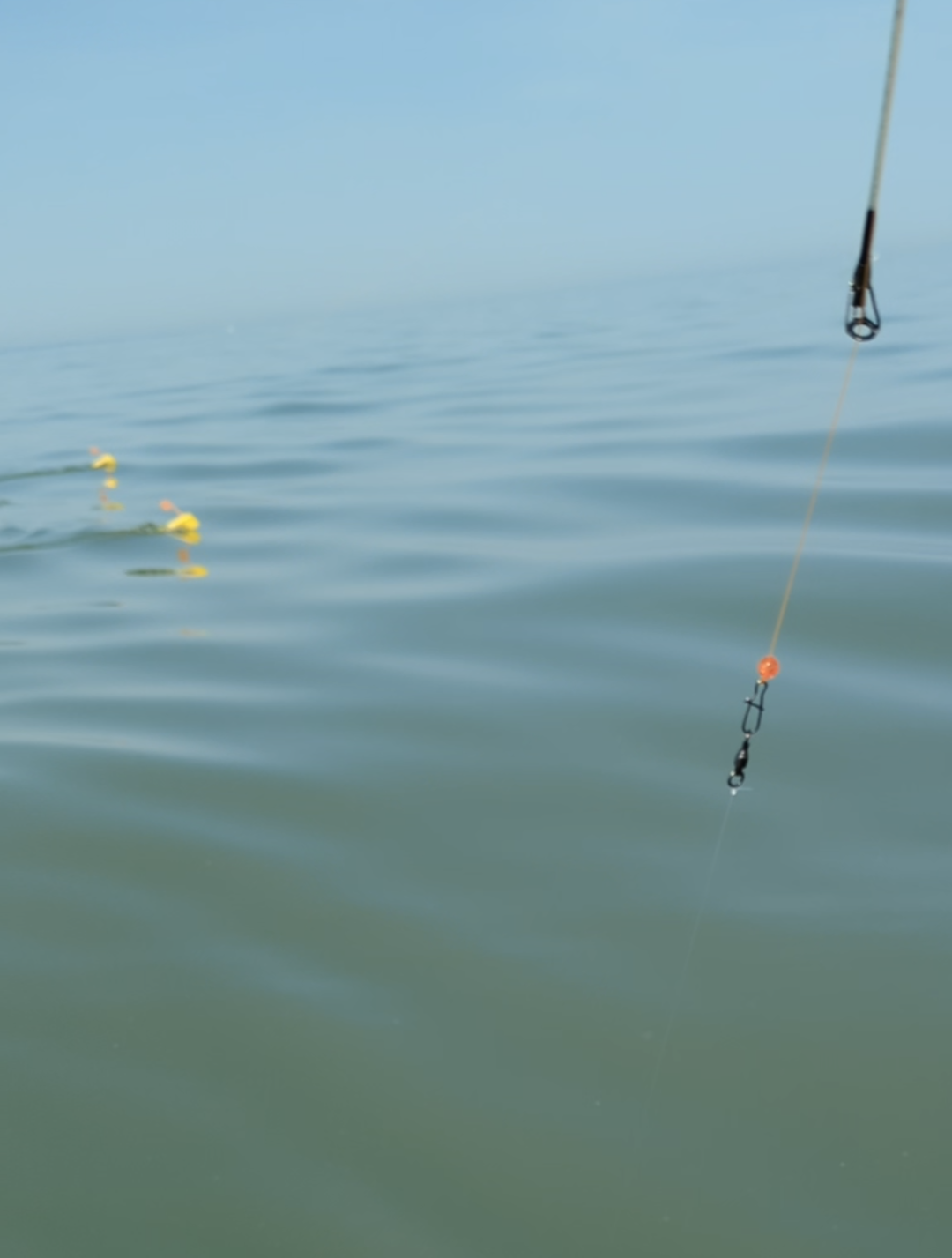 Walleye Trolling Leader – Fishing Addiction Gear