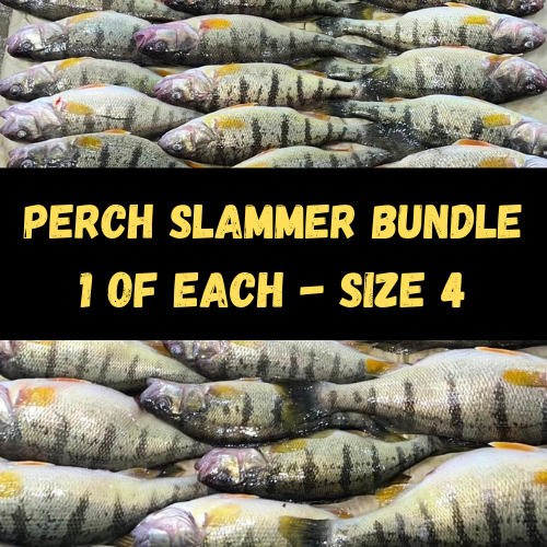 Perch Slammer Rig