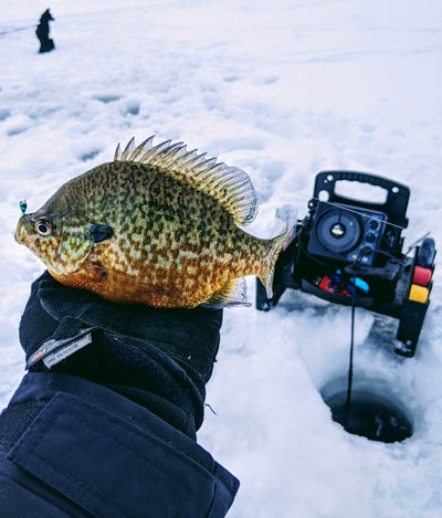 Bert's Custom Tackle 24