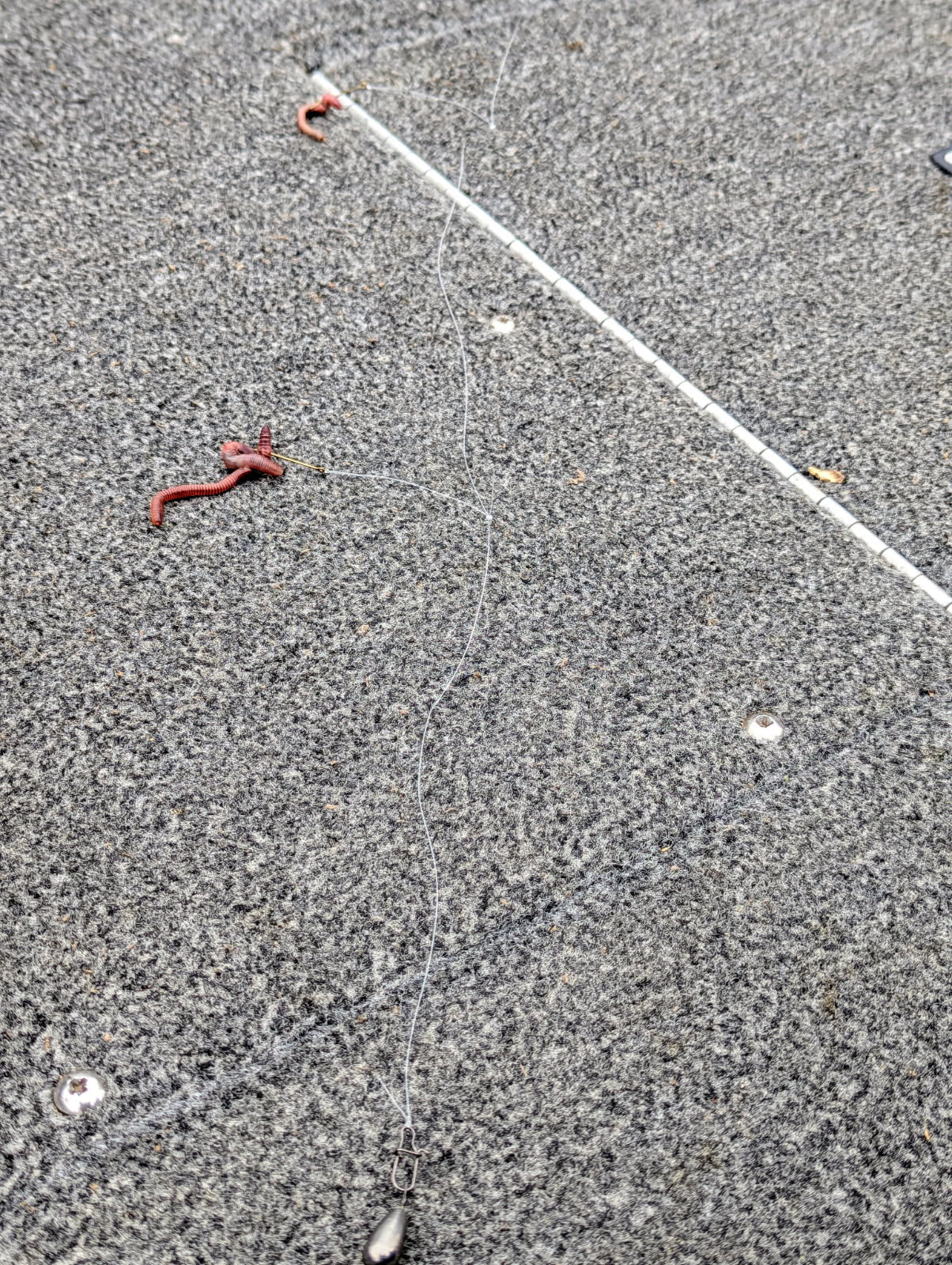 Double Tap Live Bait Rig