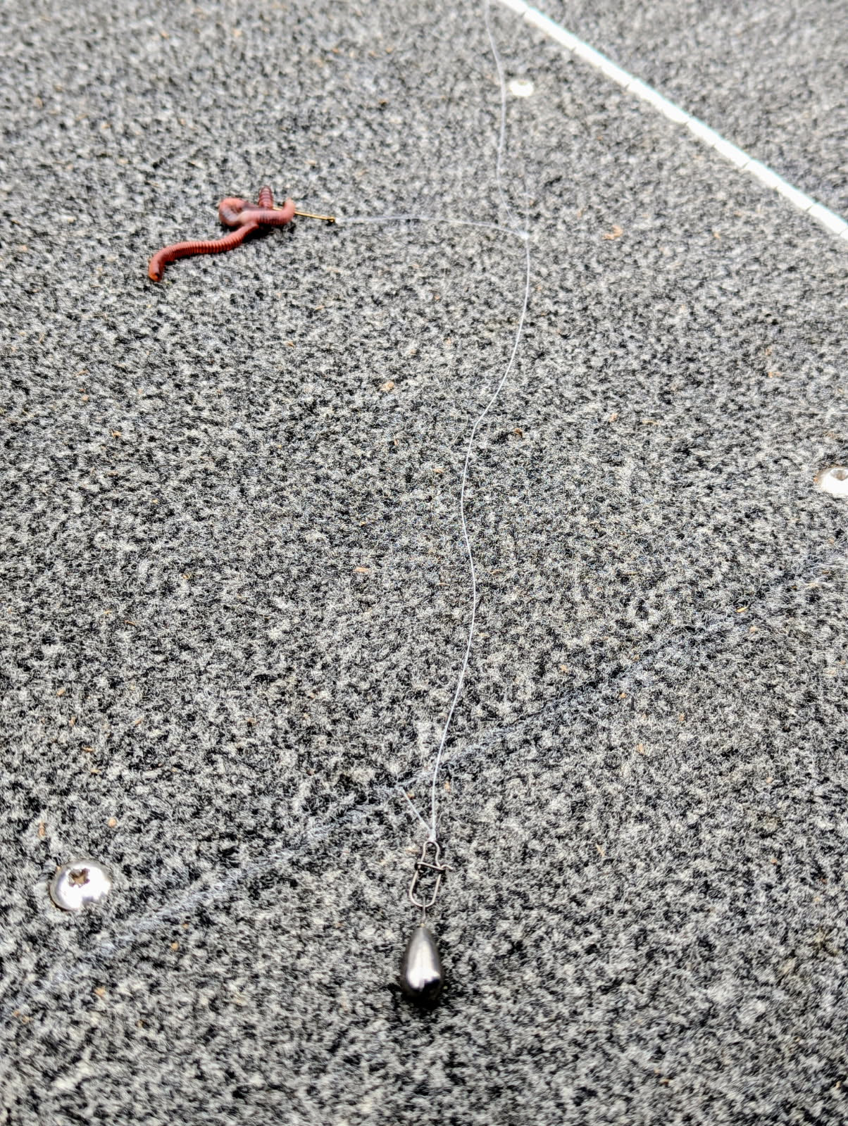 Double Tap Live Bait Rig