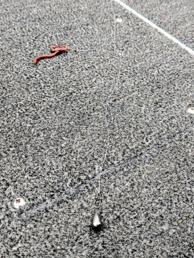 Double Tap Live Bait Rig