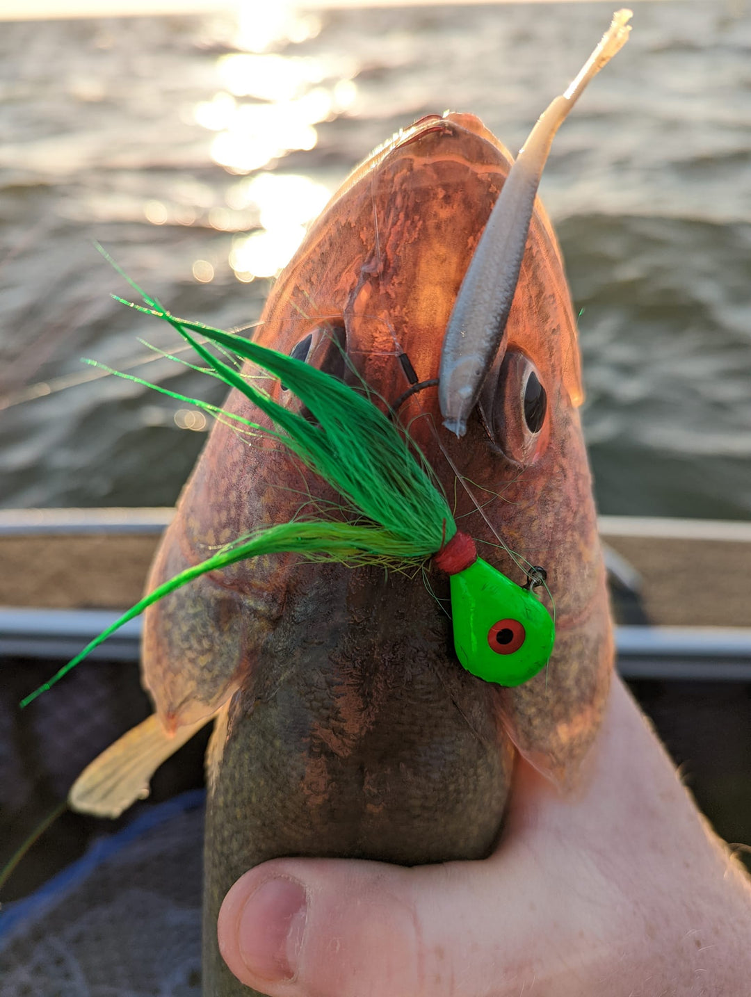 define fishing stinger hook Removable Stinger Hooks | Size 10 | Red