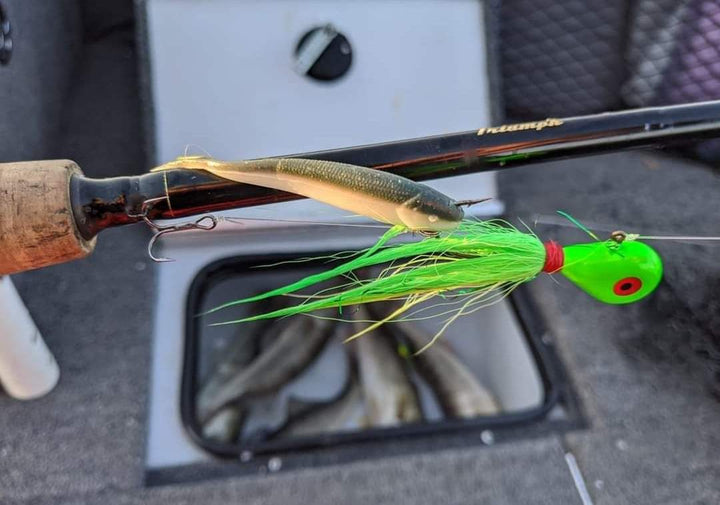 alive fishing lures Berkley Gulp! Alive! Minnow - Smelt the Berkley Gulp ALIVE COLORS Pre-rigged Trolling Lures