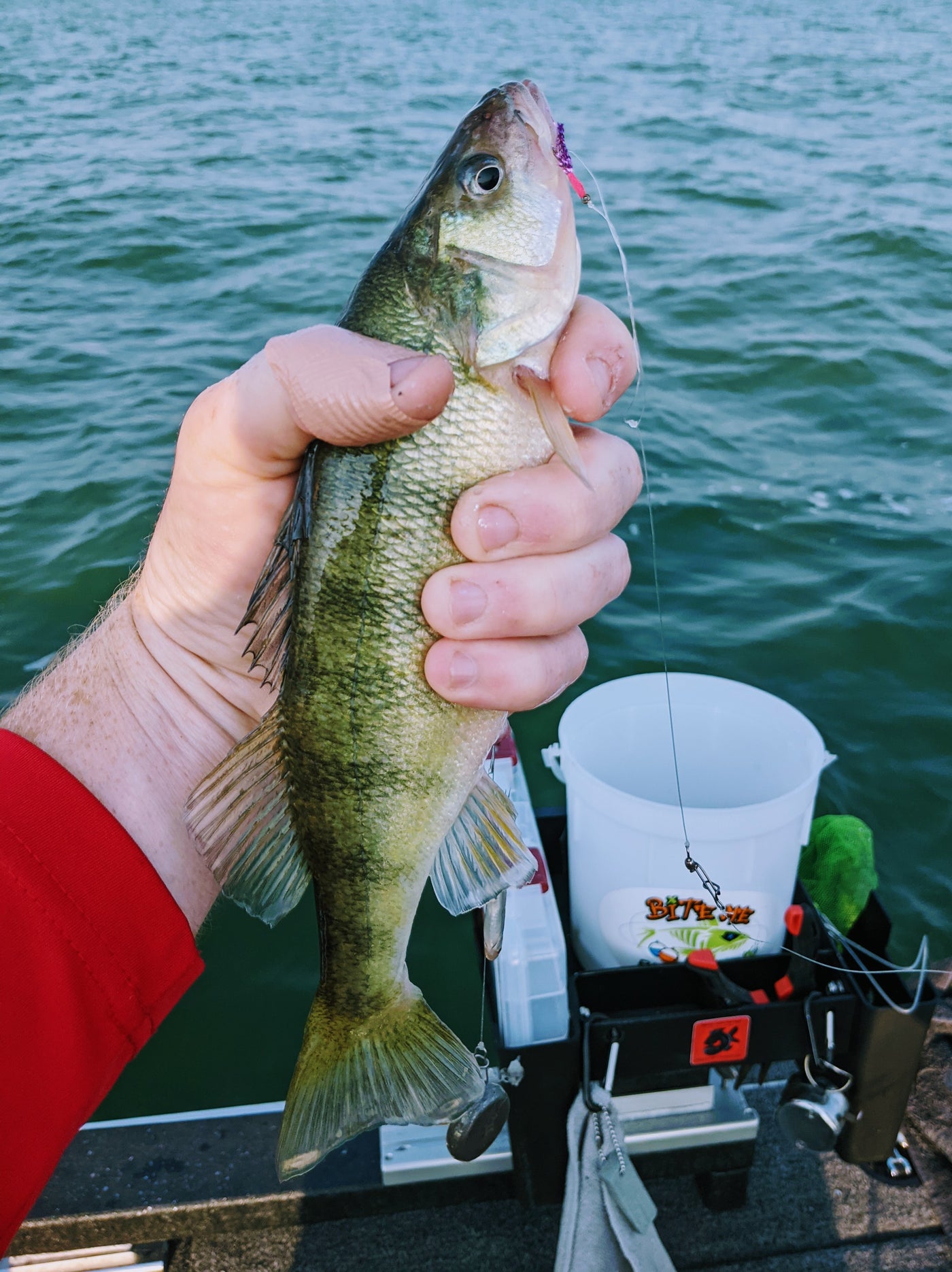 Perch Trolling Rigs Perch Fly Rigs – Fishing Addiction Gear