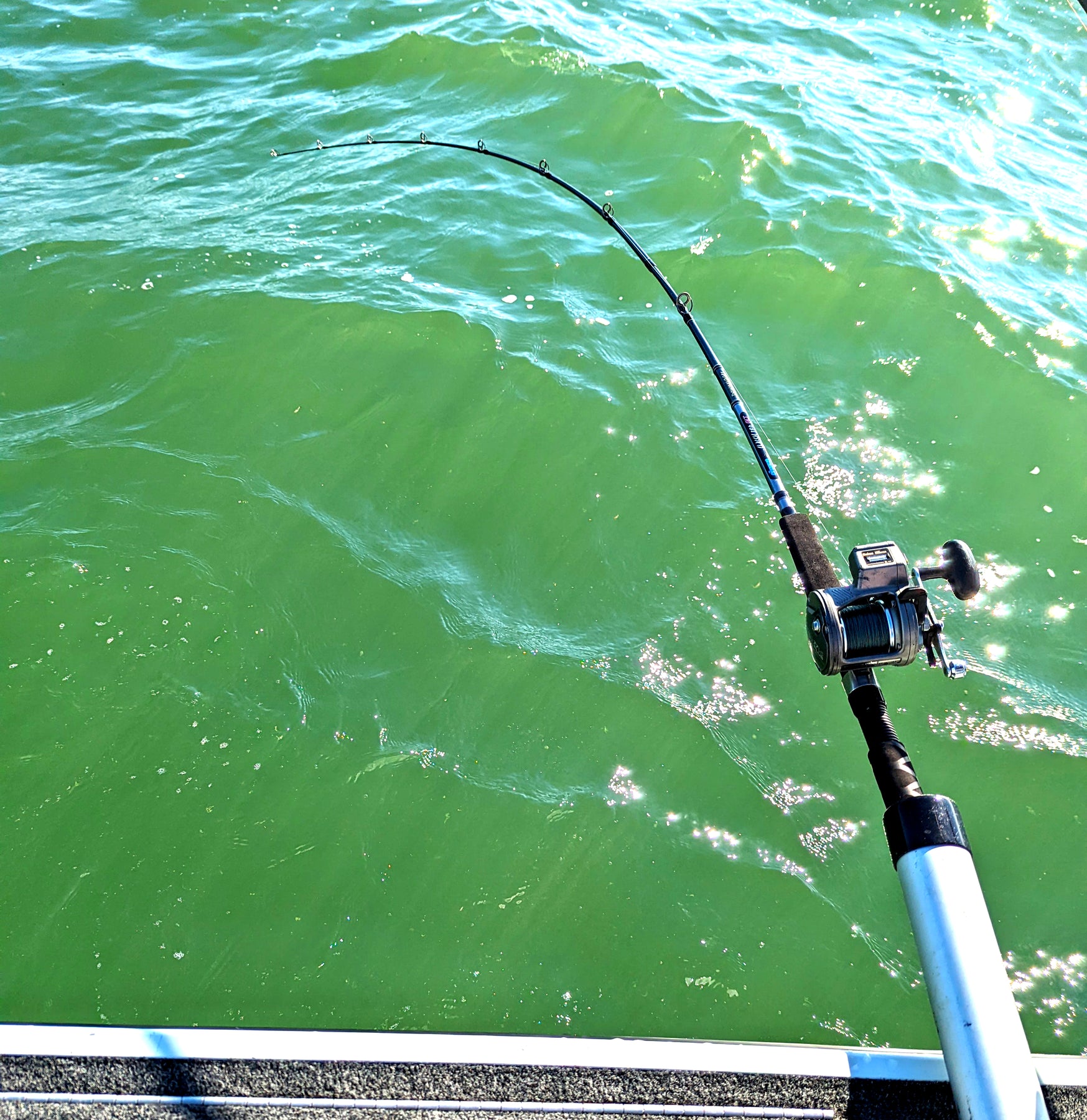 Okuma CP GLT Downrigger Rod