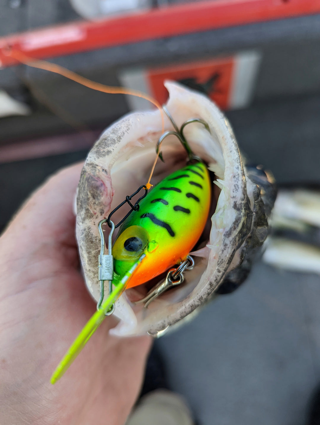 Leurre Vintage Storm Hot'N Tot H9 Bone – Pré-Rapala, Original, Bass