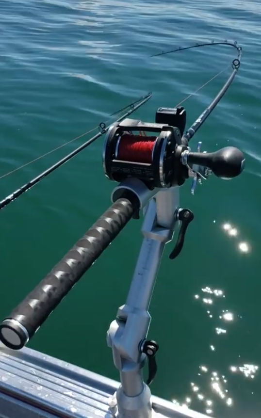Fox River Dipsy Diver Rod