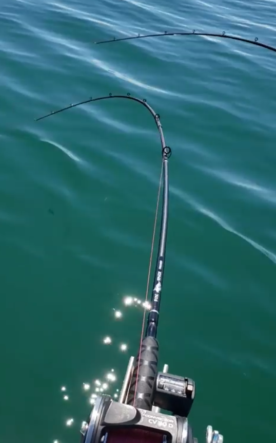 dive after fishing pole Fox River Dipsy Diver Rod – Fishing Addiction Gear