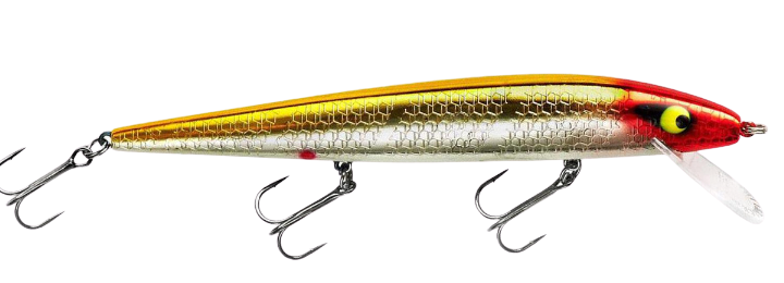 amazon daiwa bg 6000 sw inshore reels Daiwa 23 BG SW 6000D-H