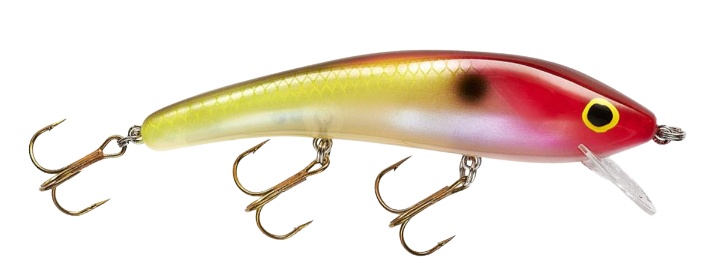 cordell redfin fishing lure Cotton Red Fin - Chrome/Blue Back Ripplin Red Fin